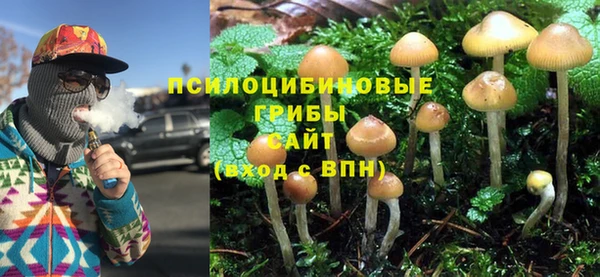 крисы Абаза