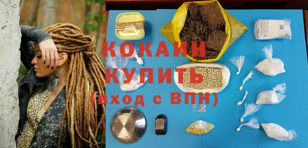 крисы Абаза