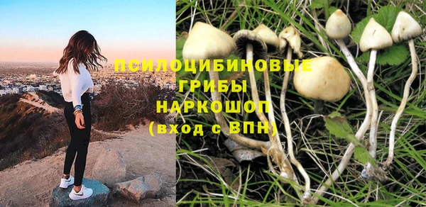 крисы Абаза